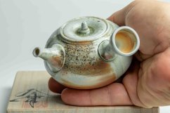 Taisuke Shiraiwa Yohen Kyusu  - 150ml