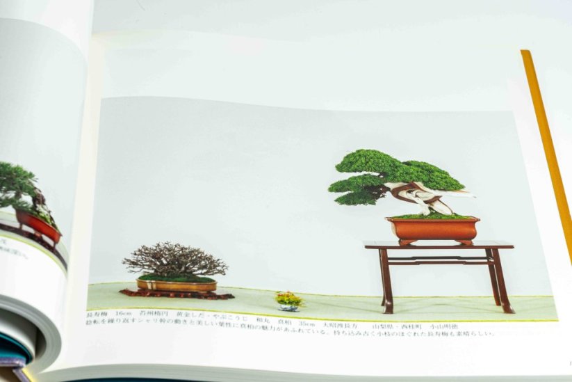 Kokufu Ten  Exhibit Books - Ročník: No.81