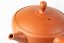 Tokoname Kyusu - 125ml