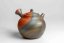 Ishii Shuzan Yohen Kyusu - 200ml