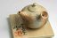 Konishi Yohei White Daisy Kyusu - 200ml