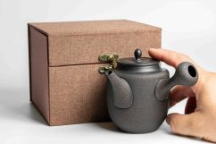 Seiho - Tsuzuki Takao - Black Kyusu - 290 ml