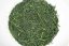 Ishidera Fukamushi Sencha 2025 - 50g