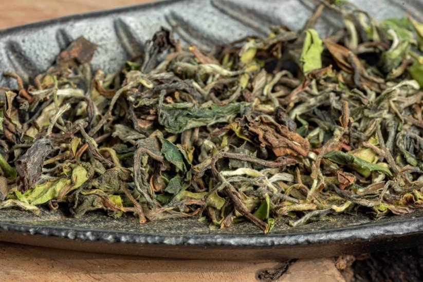 Darjeeling Takdah Spring Blossoms  FF2026 - 50g