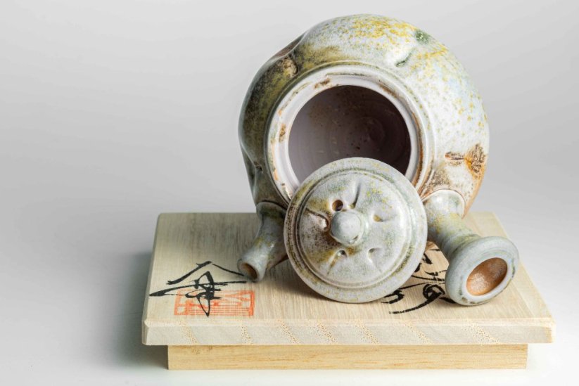 Taisuke Shiraiwa Yohen Kyusu  - 100 ml