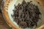Dark Raven - Chiang Rai Gushu Shu Cha 2025 - 100g