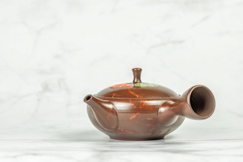 Hirotaka Umehara Mogake Kyusu - 160ml