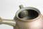 Mori Iroku IV Yohen Kyusu - 150ml