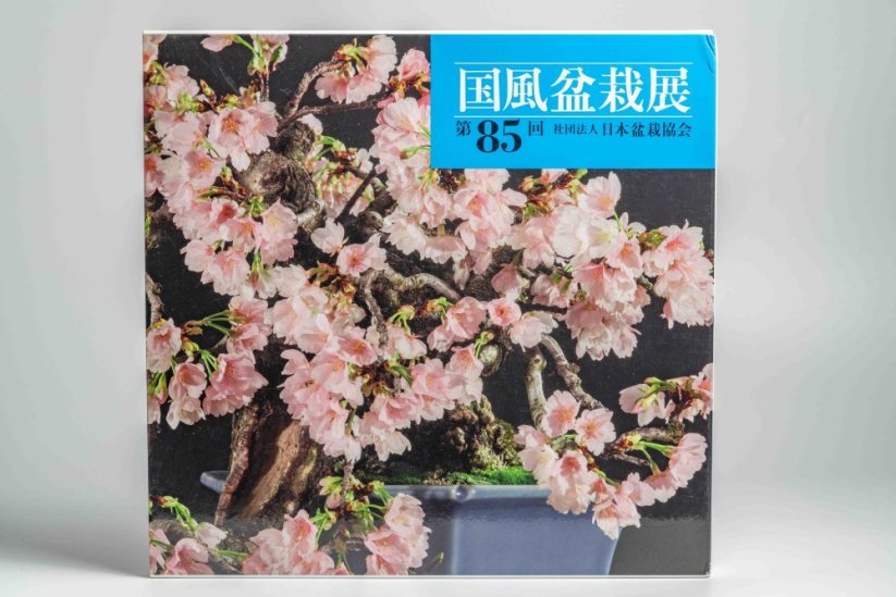 Kokufu Ten  Exhibit Books - Ročník: No.81