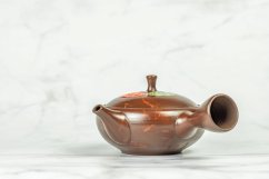 Hirotaka Umehara Mogake Kyusu - 160ml
