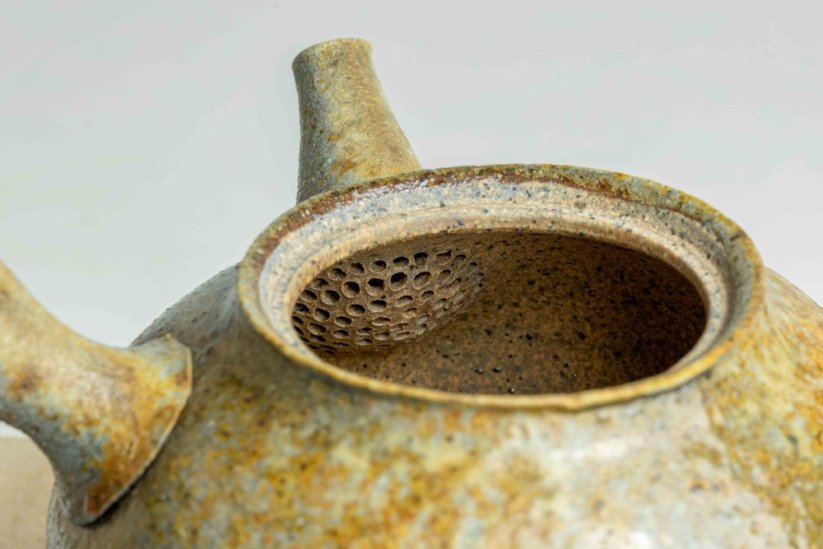 Taisuke Shiraiwa Yohen Kyusu  - 240ml