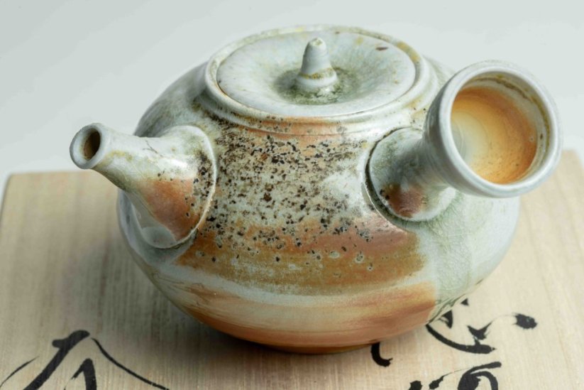 Taisuke Shiraiwa Yohen Kyusu  - 150ml