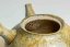 Taisuke Shiraiwa Yohen Kyusu  - 240ml