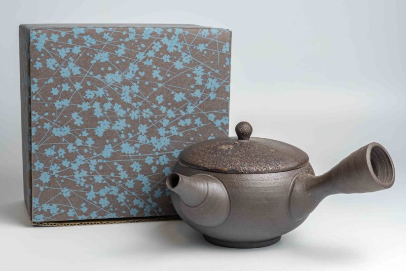 Keiichiro Watanabe Kyusu - 230 ml