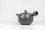 Chikushun Kyusu - 600 ml