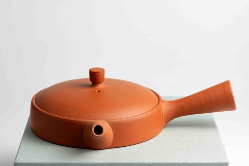 Jinshu Hira Shudei Kyusu - 100ml