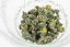 Nature Farming Cui Yu TTES.13 2025 - 50g