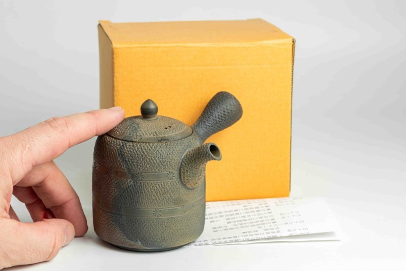 Mori Iroku IV Yohen Kyusu - 180ml