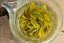 Nepal Ganesh Ilam Spring Moonshine FF2026 - 50g