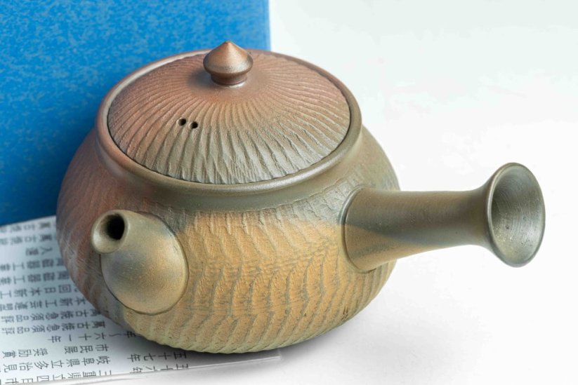 Mori Iroku IV Yohen Kyusu - 150ml