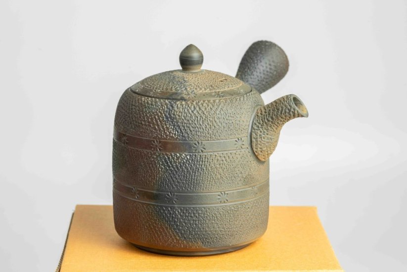 Mori Iroku IV Yohen Kyusu - 180ml