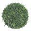 Sencha Saemidori Super Premium 2025 - 50g