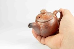 Tea Pot Shino 100ml No.1