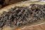 Xiaojiawan Da Hong Pao Yideng Jiang  2025 - 8g