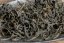 Ming Jian Jin Guan Yin 2024 - 50g