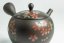 Hirotaka Umehara Red Flower Kyusu - 200ml