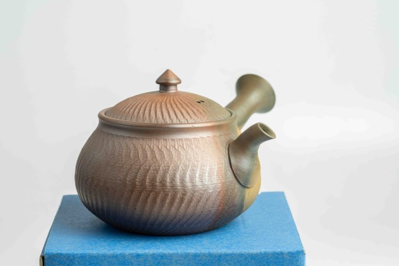 Mori Iroku IV Yohen Kyusu - 150ml