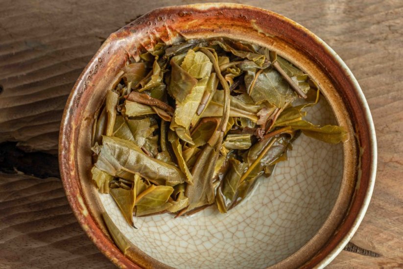 Jungle Flow - Chiang Rai Gushu Sheng 3/2024 - 100g