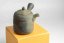 Mori Iroku IV Yohen Kyusu - 180ml