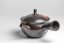 Gyokuryusaku Mogake Kyusu - 190ml
