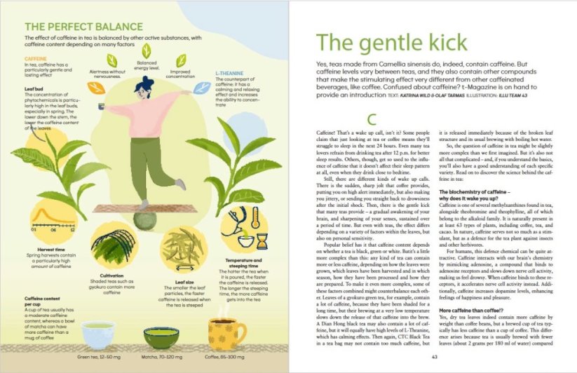 t-Magazine - English Bundle - issues #1,2,3