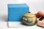 Mori Iroku IV Banko-Yaki Pot - 140ml