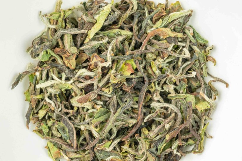 Darjeeling Rohini Hand Rolled Spring Beauty FF2026 - 50g