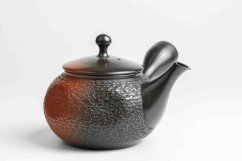 Koshin PineBark Teapot - 200ml