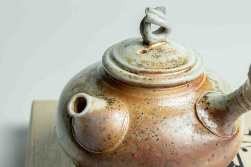 Taisuke Shiraiwa Yohen Kyusu  - 180ml