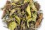 Shizuoka Koushun Summer White 2024 - 30g