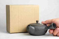 Tamamitsu Umehara Yohen Kyusu - 250ml