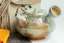 Taisuke Shiraiwa Yohen Kyusu  - 150ml