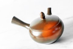 Koji Iwase Kyusu - 170 ml