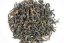 Shizuoka Koushun Red Koucha 2024 - 50g