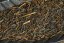 Mie Suizawa Deep Hojicha 2025 - 50g