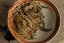 Uganda Sun Dried Silver Needle 2025 - 50g