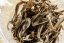 Yu Chi Hong Yun TRES.21 - Scarlet Melody 2025 - 50g