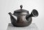 Reiko Vintage Black Red Flowers Kyusu - 240ml