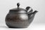 Reiko Vintage Black Red Flowers Kyusu - 240ml