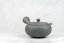 Keiichiro Watanabe Kyusu - 220 ml